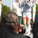 Image for article titled Japan's "Totally Looks Like" Meme Is Totally Amusing